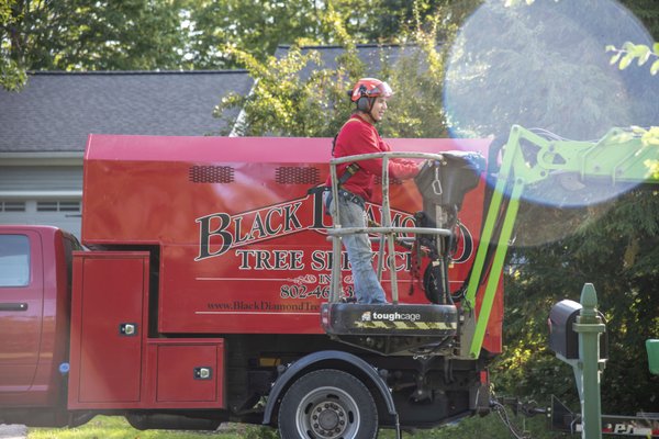 Black Diamond Tree Service