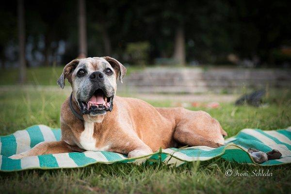 Tevez 13 years old , só handsome senior from