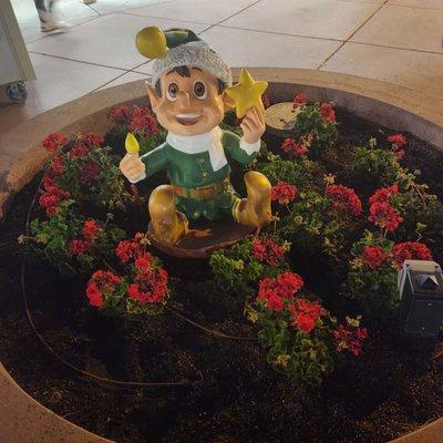 Elves are hiding in plants in Scottsdale