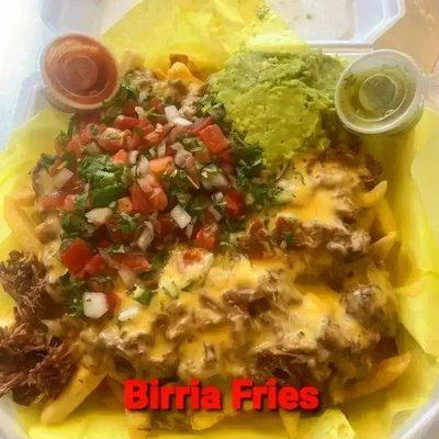 BIRRIA FRIES