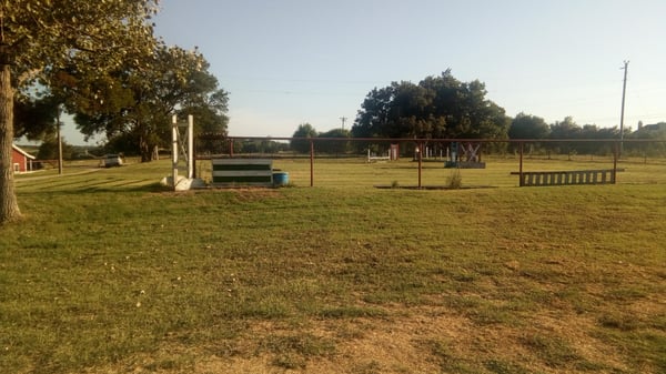 Cows and horses fenced in areas.