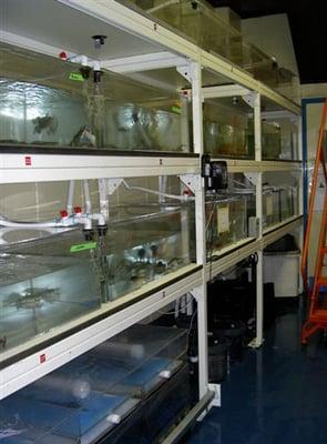 a custom research center with 27 tanks and a central filtration system