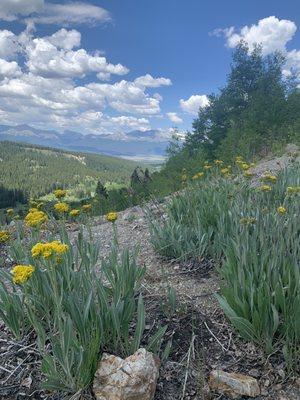 View from the trail