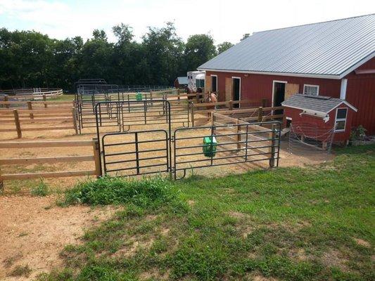 Each stall has its own paddock