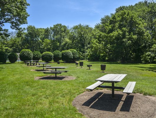 Picnic Area