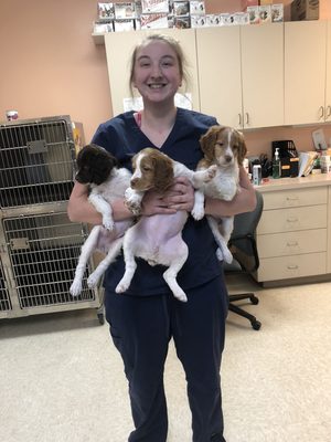 Kristin with a Bouquet of puppies.