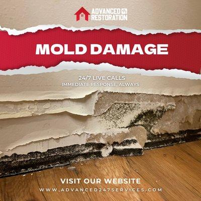 Molds are organisms that feed from organic materials such as the ones found in your house. They can rot wood, damage buildings, cause struct