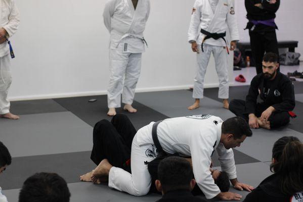 Black belt seminar