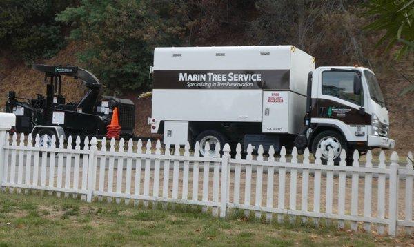 Marin Tree Service