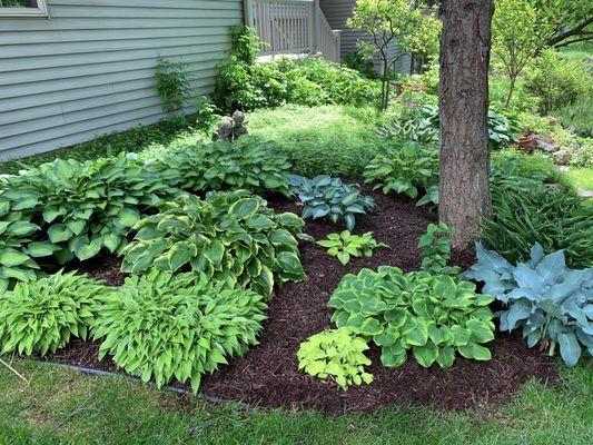 Brown Dyed Mulch