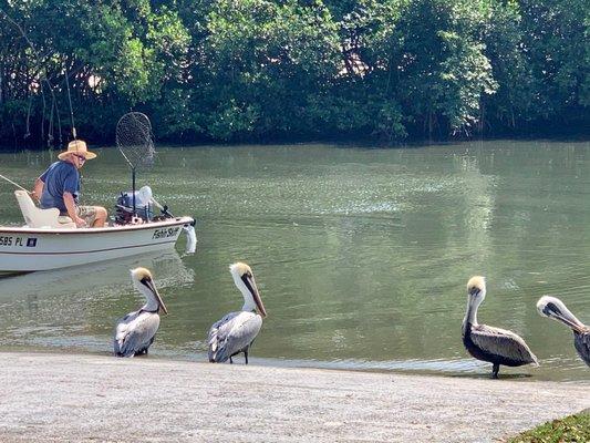 Great boat ramp