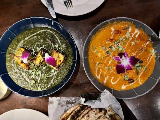 Palak Paneer and Chicken Tikka Masala