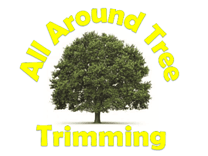 All Around Tree Trimming