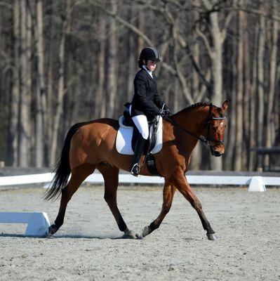 Blue Ribbon Riding Academy