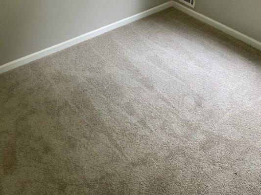 Vacuum Carpet