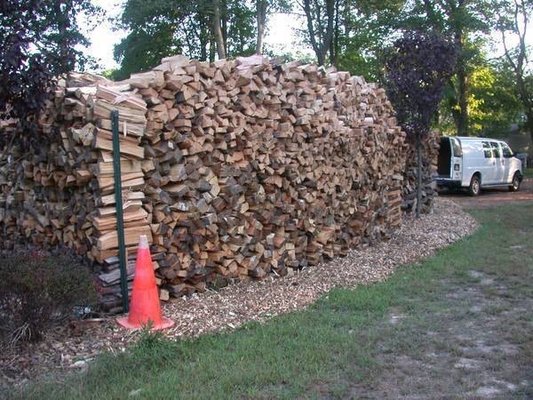 Firewood on Bill's property