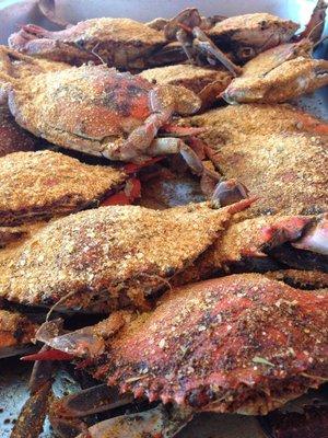 Chesapeake Bay Steamed Crabs!