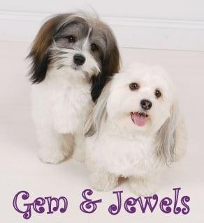 Gem & Jewels