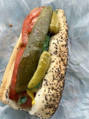 Chicago dog