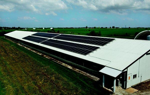 We help Indiana poultry farms cut electric costs by investing in solar.