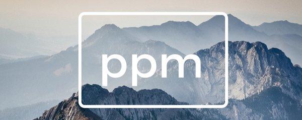 PPM - Professional Property Management