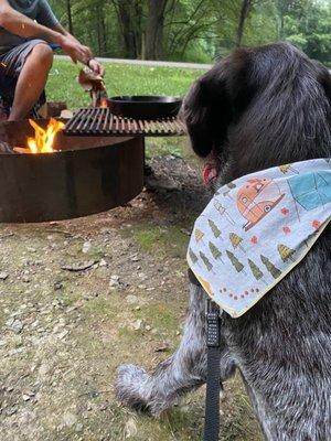 Taking notes ;)  We love cooking over the campfire at Gobbler's Run campground