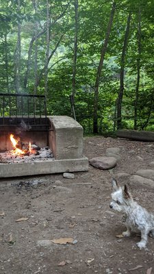 Woodland Valley Campsite