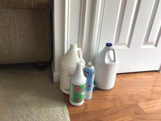 Empty Carpet Cleaning Products