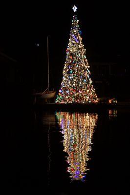 Beautiful Christmas Tree from a Lighted Bay Cruise, December 2018