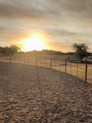 Stevens Natural Horsemanship