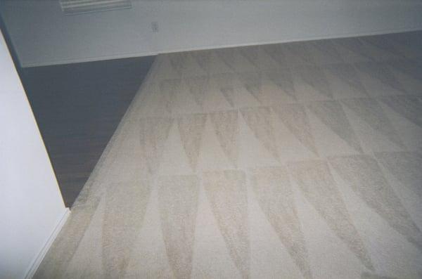 Professional carpet cleaning