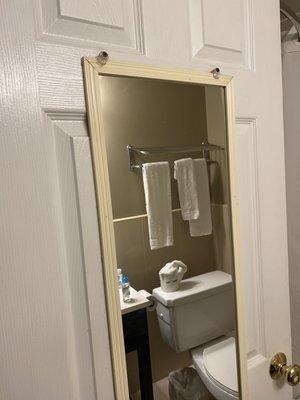 Mirror on bathroom door