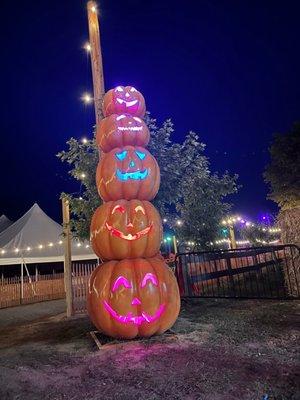 Jack o lantern tower!