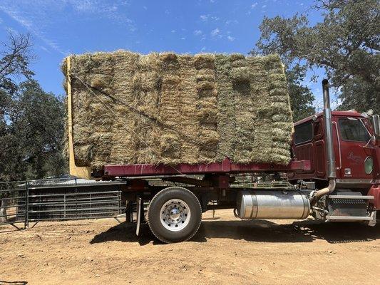 Just had 96 bales of grass hay delivered to my Ranch in Jamestown CA...