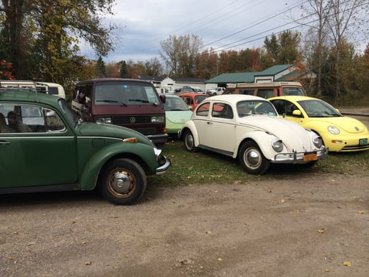 Some of the many VWs at Craig's.