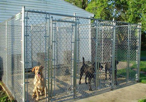 Dog Kennels / Chain Link