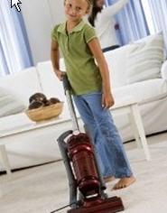 Virginia Vacuums