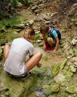 My children playing in a beautiful clear stream we stumble upon.