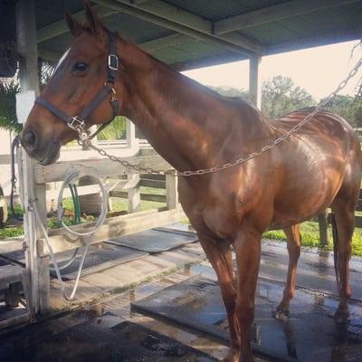 Mama in one of the wash stalls