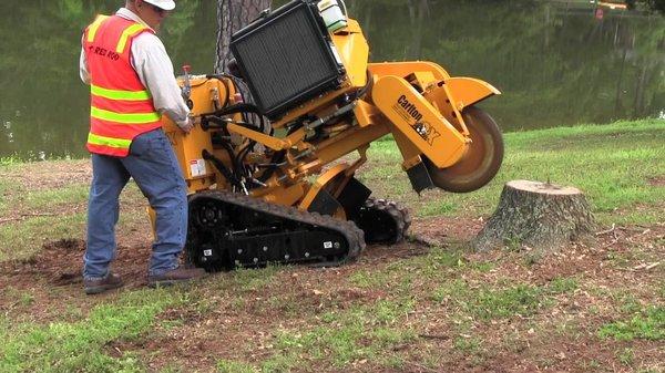 Stump Grinding expert