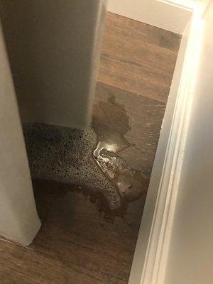 Leaking pipe behind pedestal sink