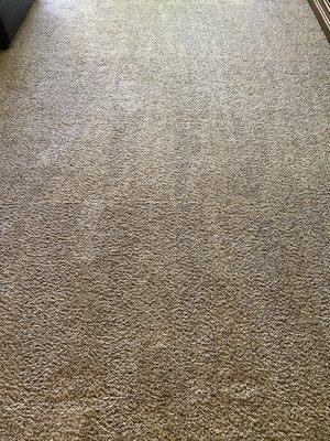 My carpet after cleaning