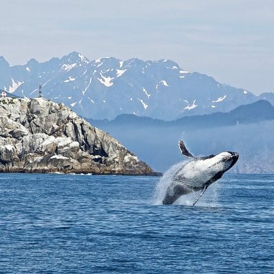 See the majesty of our earth in places like Alaska, the Galapagos, and the arctic circle.