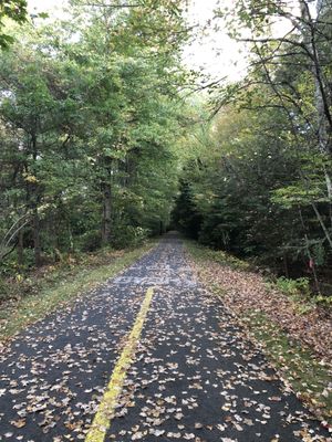 Fall leaves all over. Around mile 10.5 mark