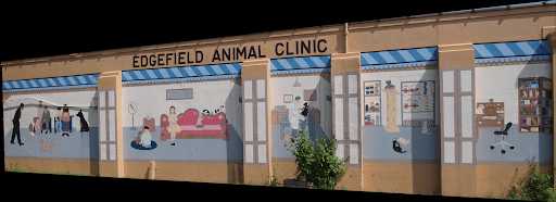 Edgefield Animal Clinic 
1827 S Edgefield Ave, 
Dallas TX 75224