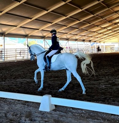 Training With Patience at Glynnsong Farm