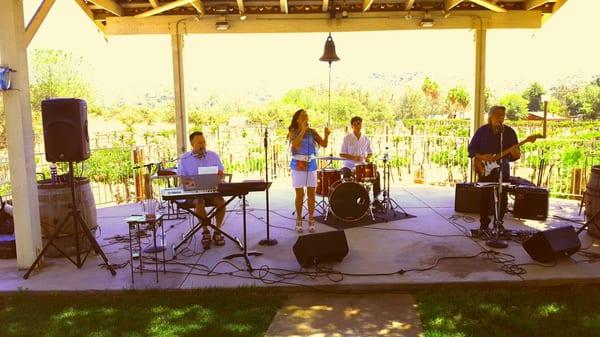 Rhythm Express Playing at the Schwaesdall Winery