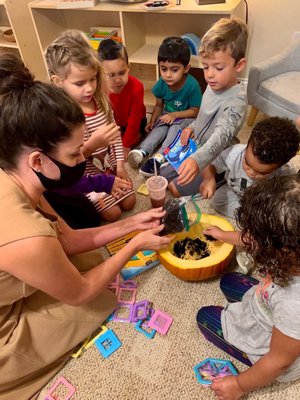 Learning about plants and composting