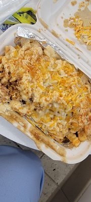 The loaded fries