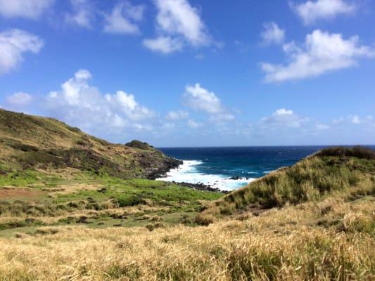 small bit of the coast line on the ranch property